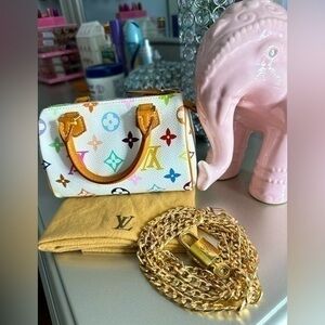 Louis Vuitton Multicolor Mini Speedy